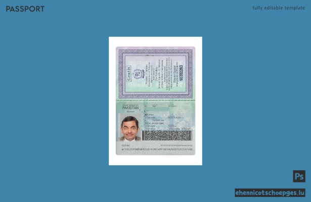 Pakistanischer Reisepass 2020-heute – Beispielvorschau